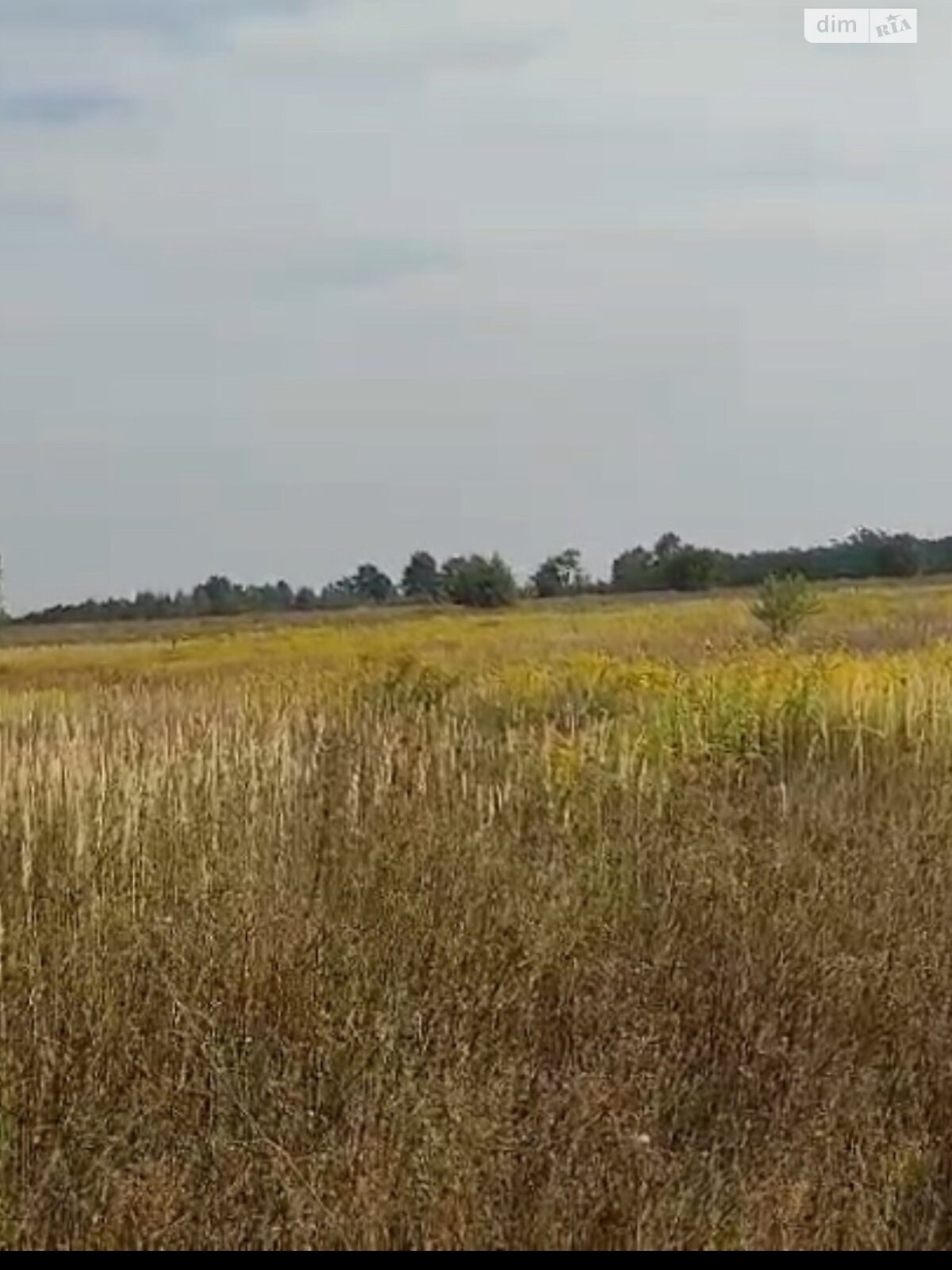 Земля сельскохозяйственного назначения в Вышгороде, район Вышгород, площадь 11.85 сотки фото 1