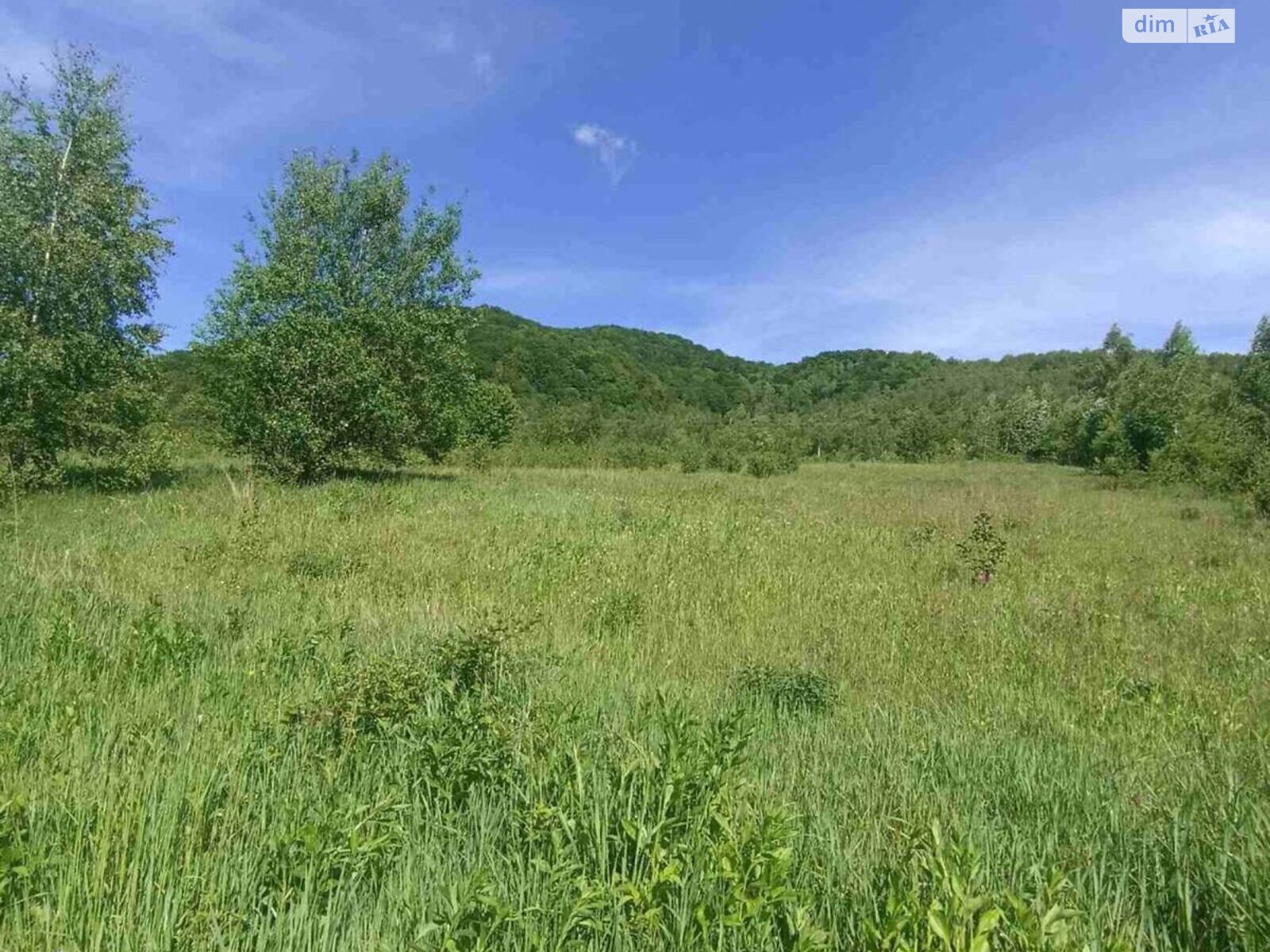 Земельный участок сельскохозяйственного назначения в Вышке, площадь 45 соток фото 1