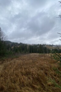 Земельный участок сельскохозяйственного назначения в Яблонице, площадь 105.7 сотки фото 2