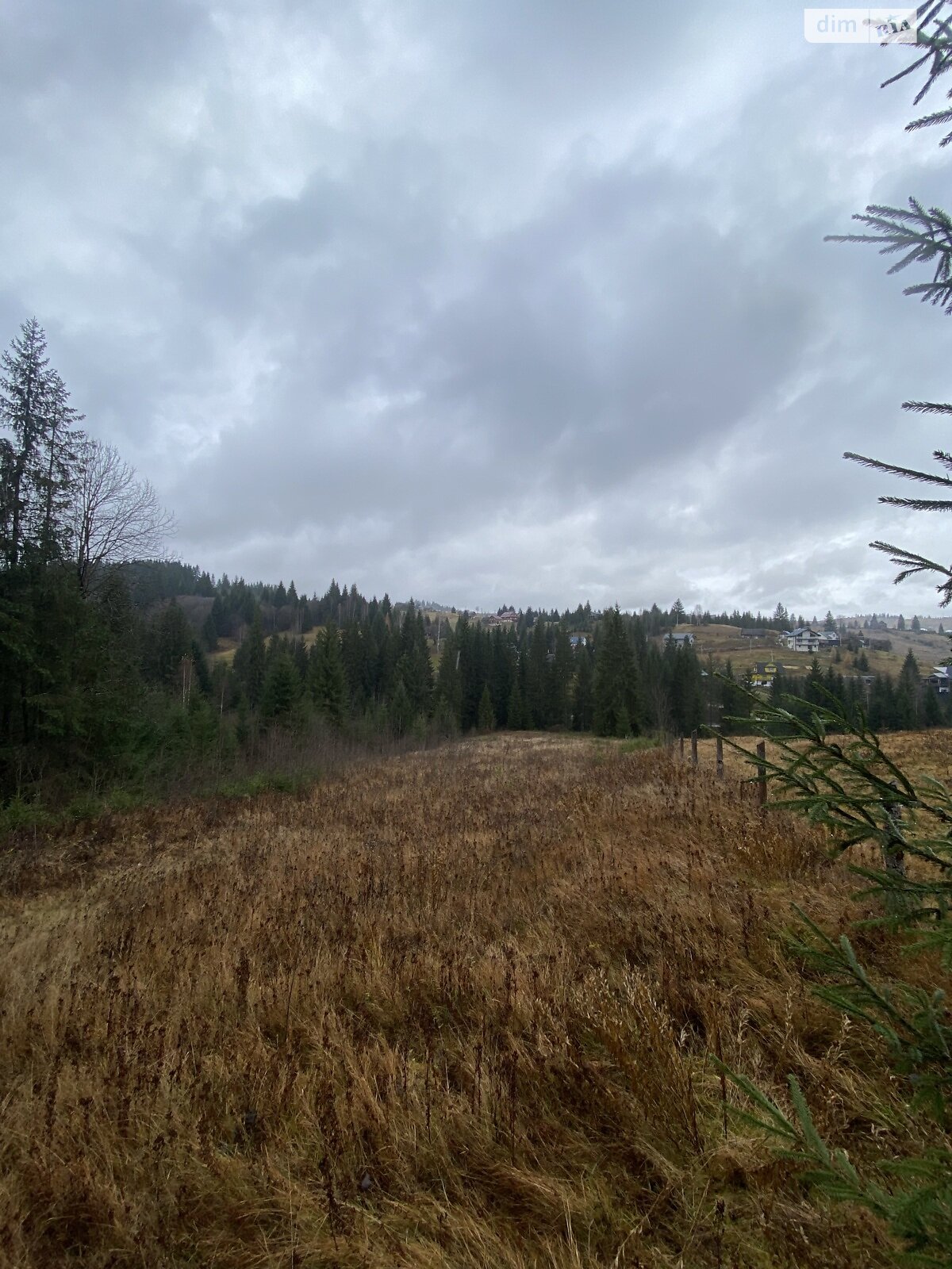 Земельный участок сельскохозяйственного назначения в Яблонице, площадь 105.7 сотки фото 1