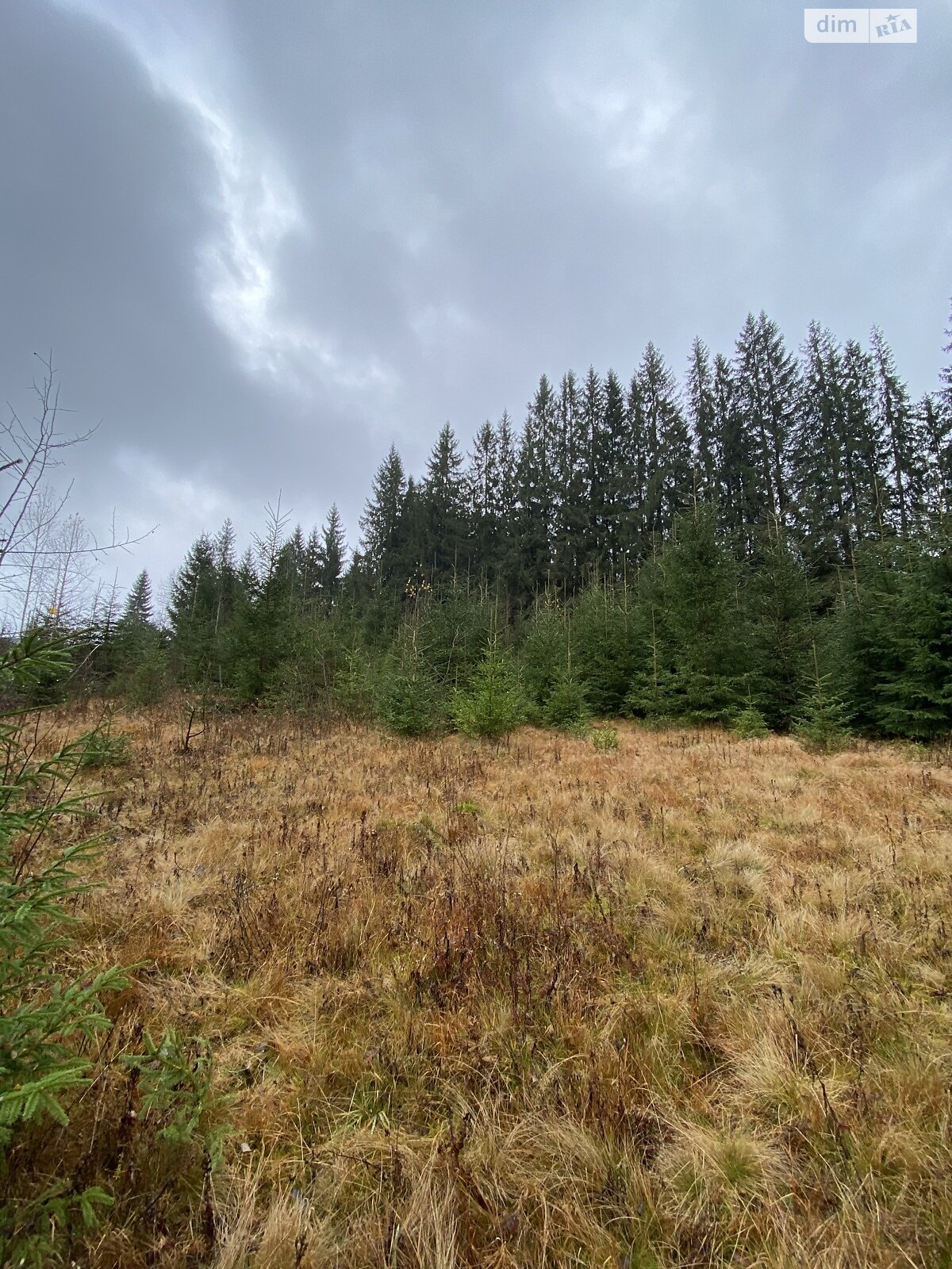 Земельный участок сельскохозяйственного назначения в Яблонице, площадь 105.7 сотки фото 1