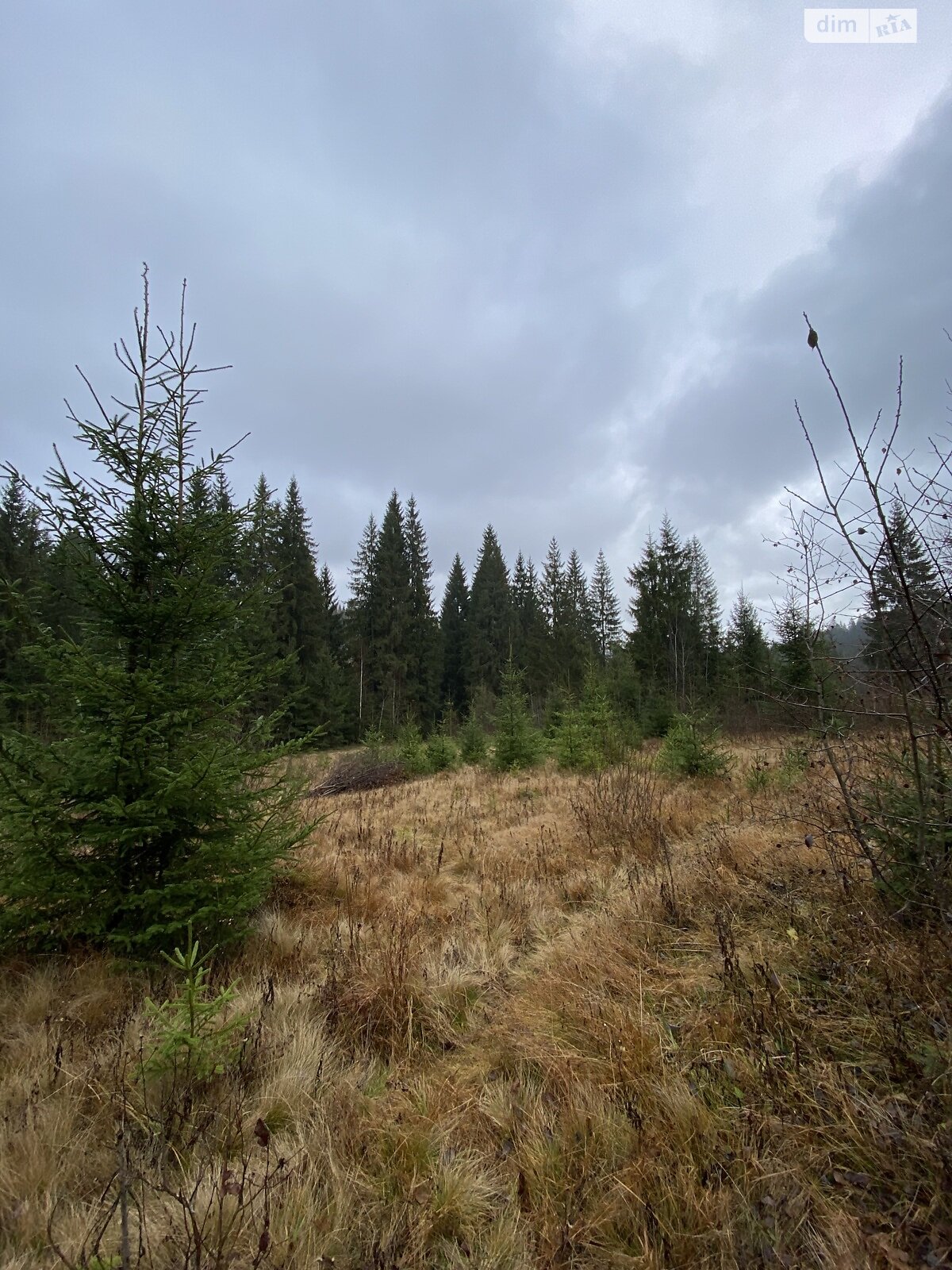 Земельный участок сельскохозяйственного назначения в Яблонице, площадь 105.7 сотки фото 1