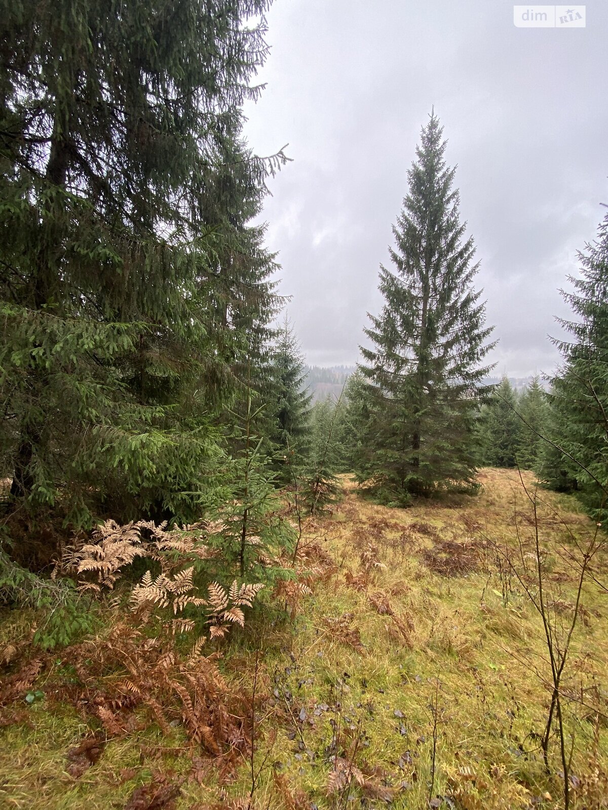 Земельный участок сельскохозяйственного назначения в Яблонице, площадь 105.7 сотки фото 1