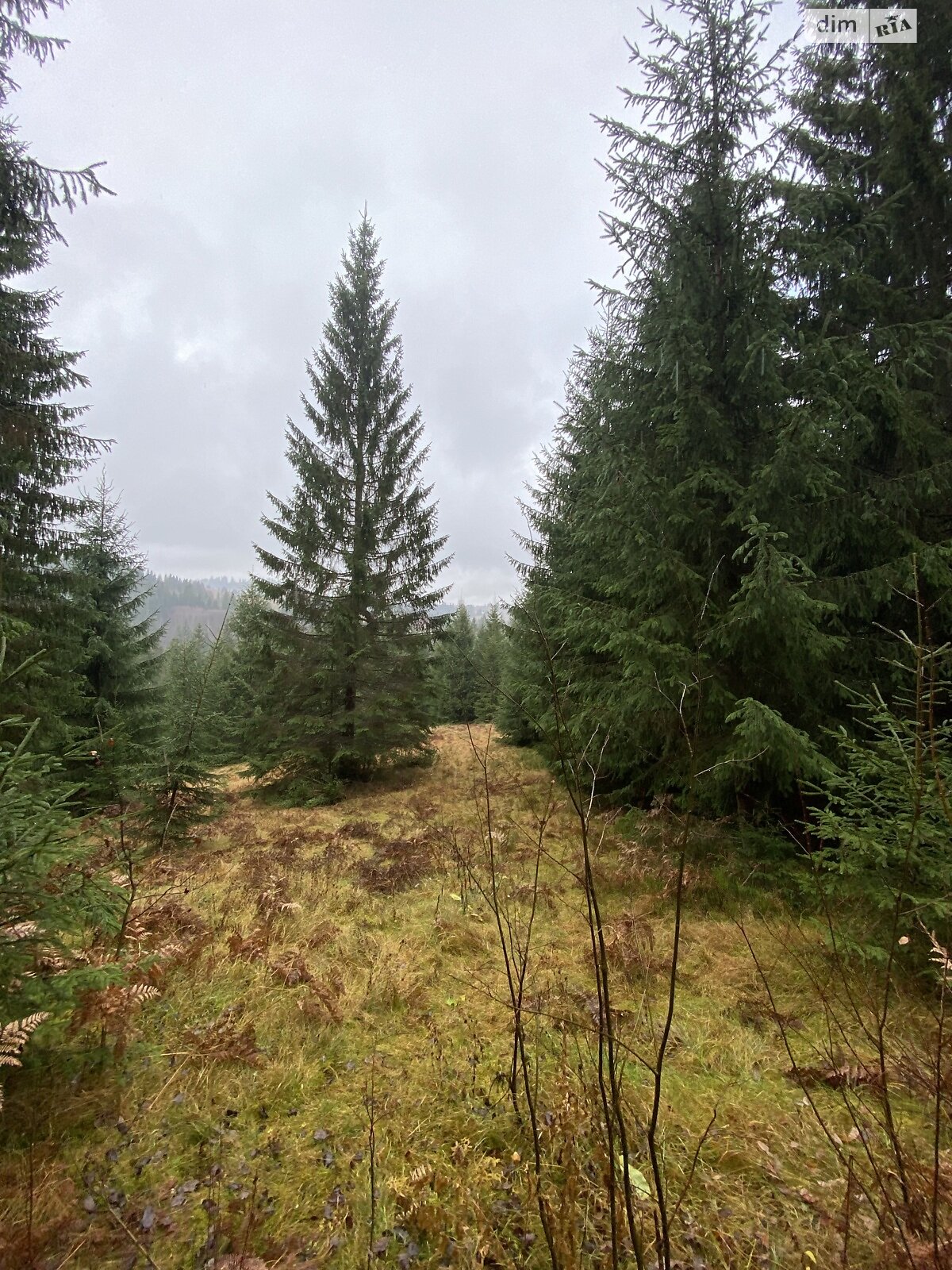 Земельный участок сельскохозяйственного назначения в Яблонице, площадь 105.7 сотки фото 1