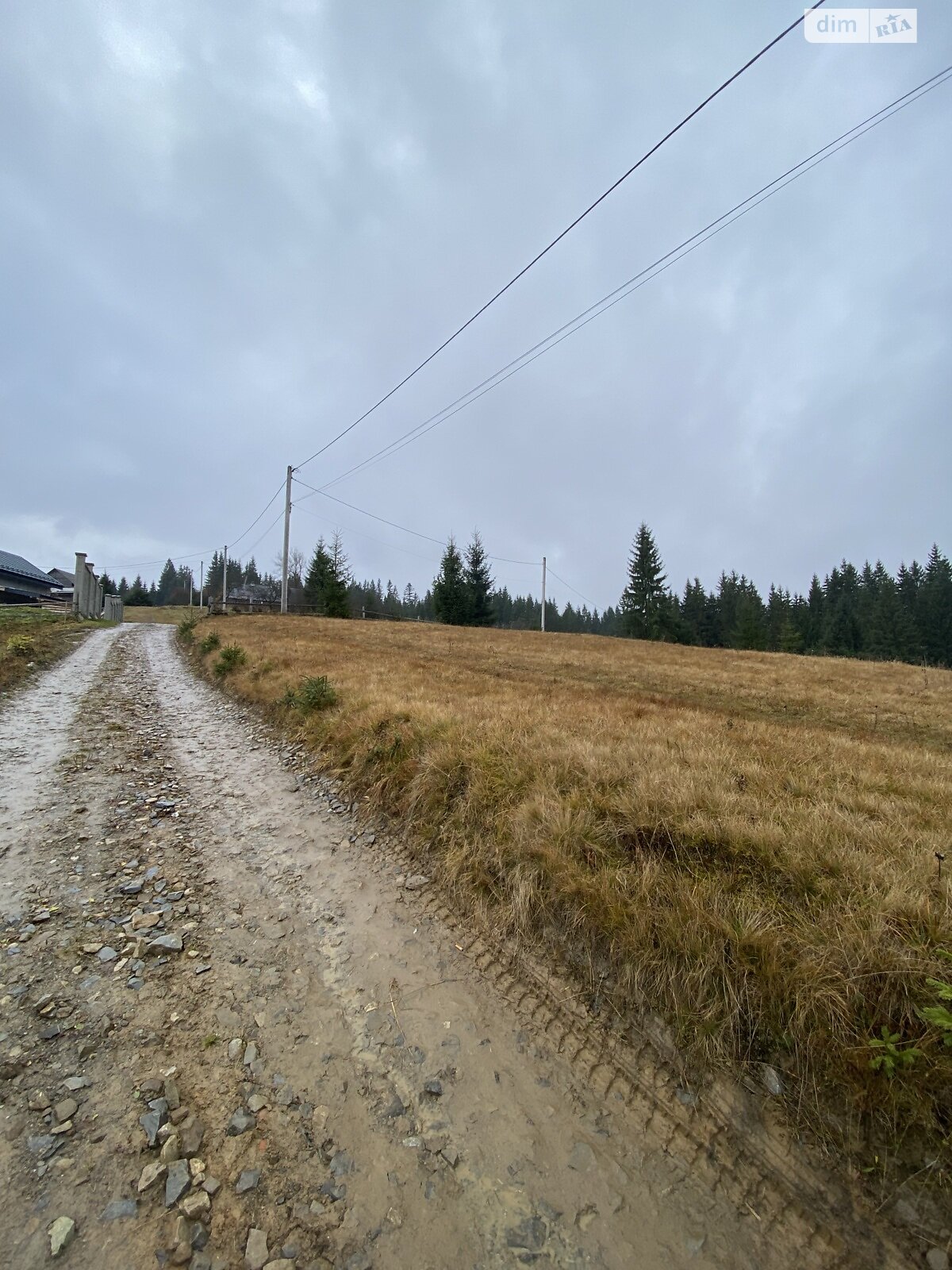Земельный участок сельскохозяйственного назначения в Яблонице, площадь 105.7 сотки фото 1