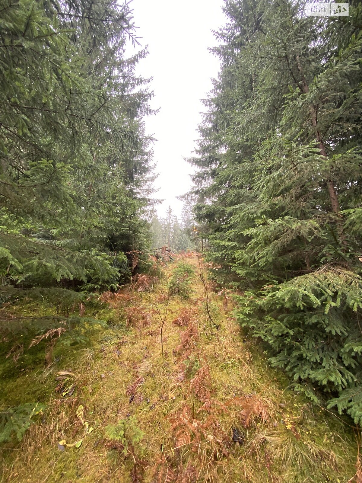 Земельный участок сельскохозяйственного назначения в Яблонице, площадь 105.7 сотки фото 1