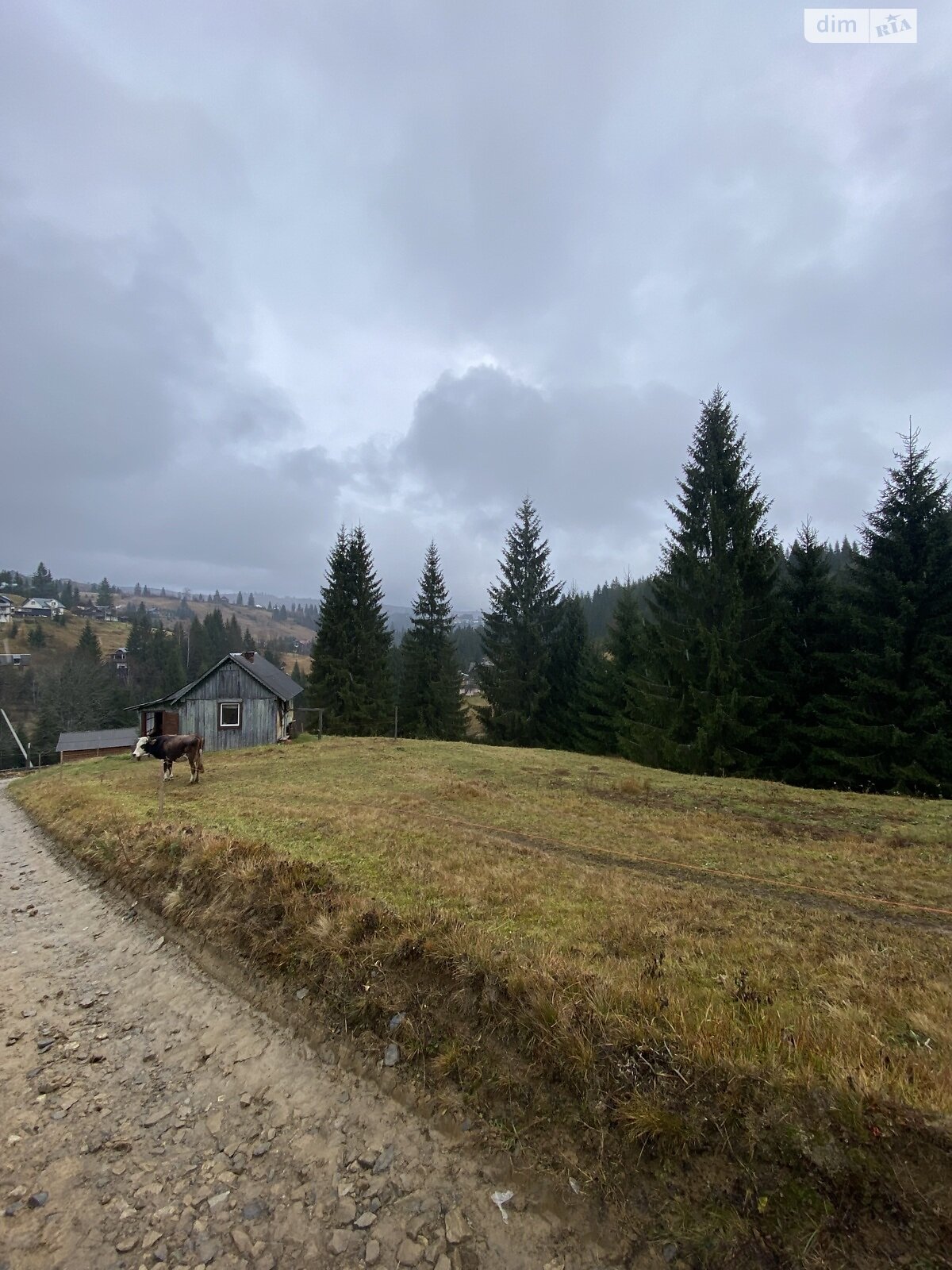 Земельный участок сельскохозяйственного назначения в Яблонице, площадь 105.7 сотки фото 1