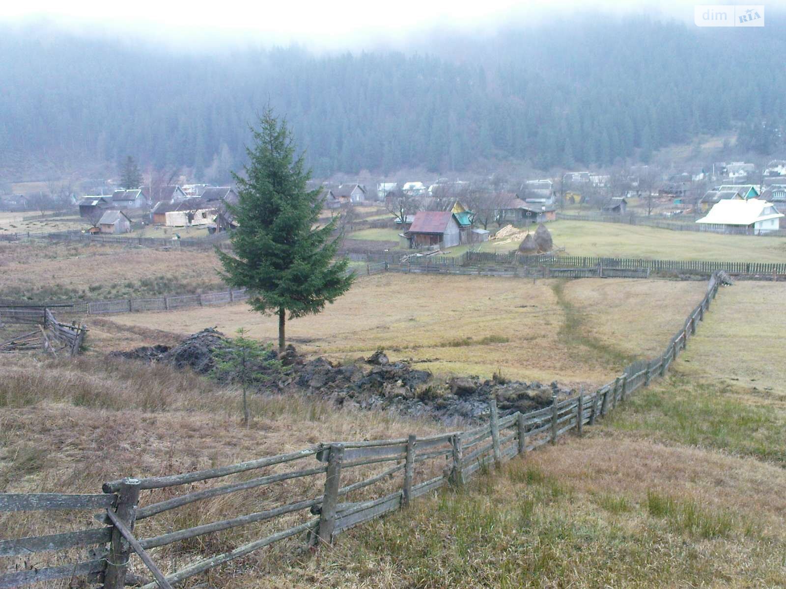 Земельна ділянка сільськогосподарського призначення в Яблуниці, площа 0.1139 Га фото 1 Земельна ділянка сільськогосподарського призначення в Яблуниці, площа 0.1139 Га фото 1