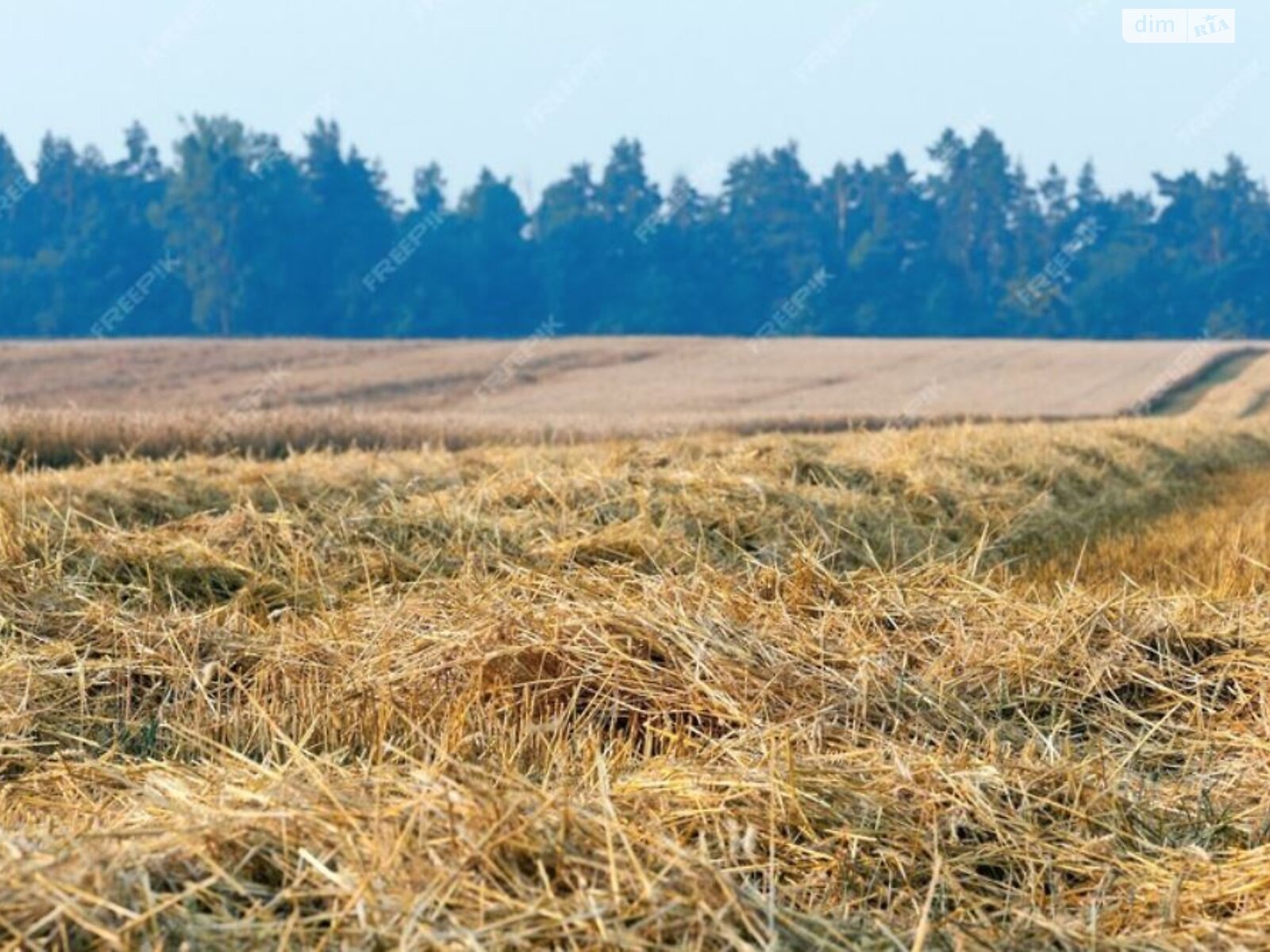 Земельный участок сельскохозяйственного назначения в Яблоновке, площадь 580 соток фото 1