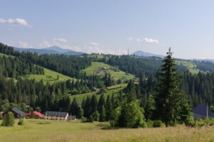 Земельна ділянка сільськогосподарського призначення в Яблуниці, площа 20 соток фото 2