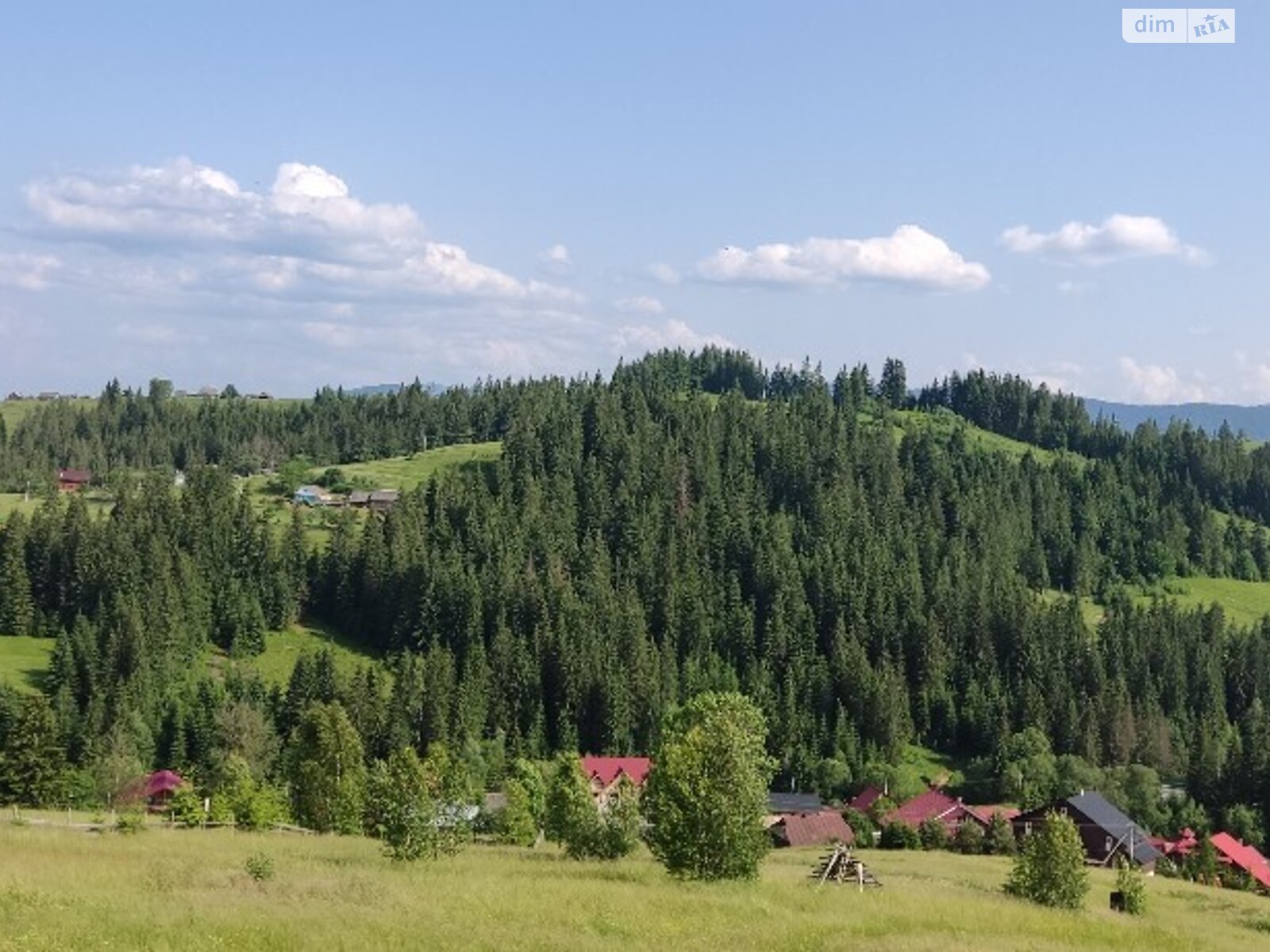 Земельна ділянка сільськогосподарського призначення в Яблуниці, площа 20 соток фото 1