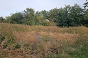 Земля сільськогосподарського призначення в Яготині, район Яготин, площа 20 соток фото 2