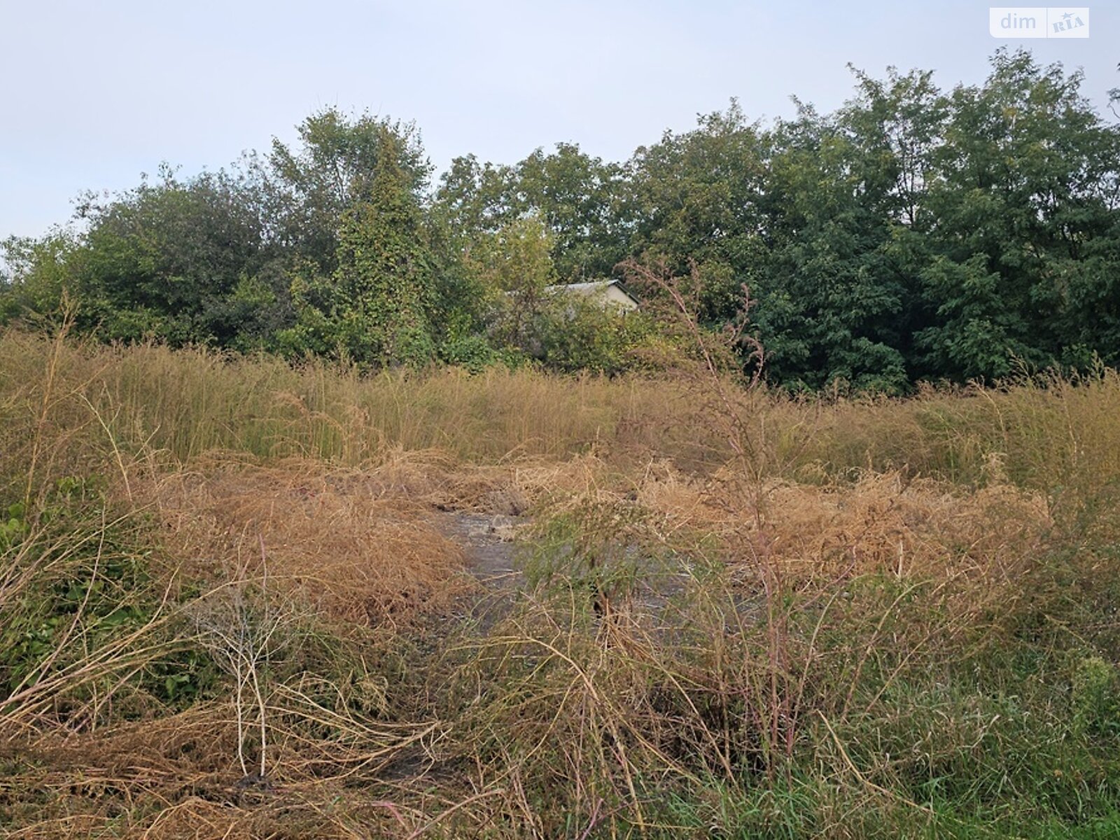 Земля сільськогосподарського призначення в Яготині, район Яготин, площа 20 соток фото 1