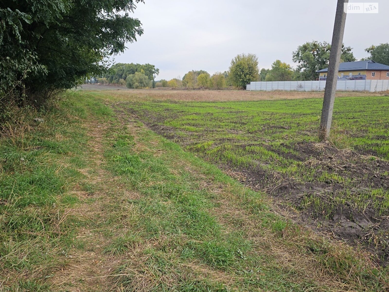 Земля сільськогосподарського призначення в Яготині, район Яготин, площа 20 соток фото 1