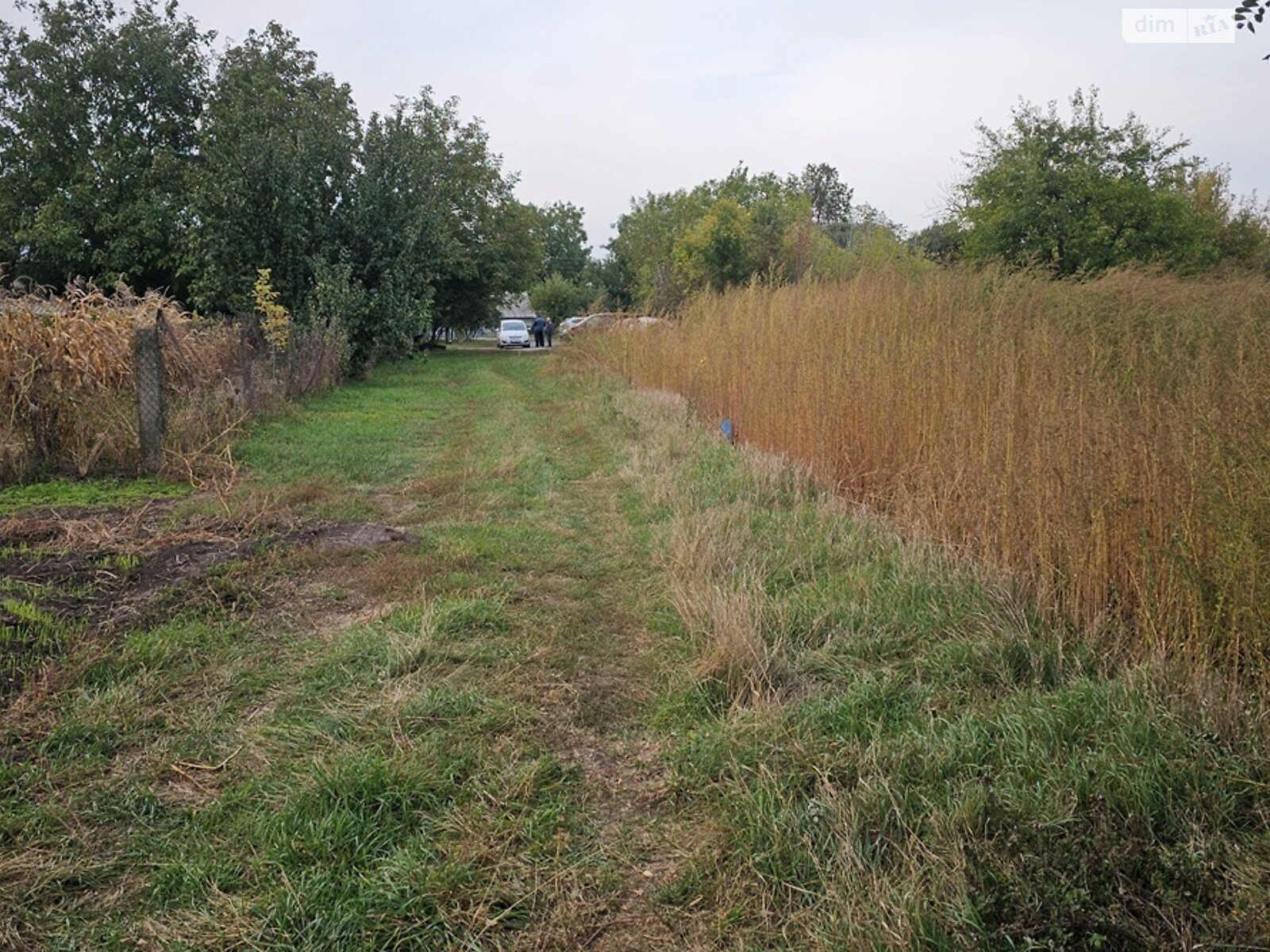 Земля сільськогосподарського призначення в Яготині, район Яготин, площа 20 соток фото 1
