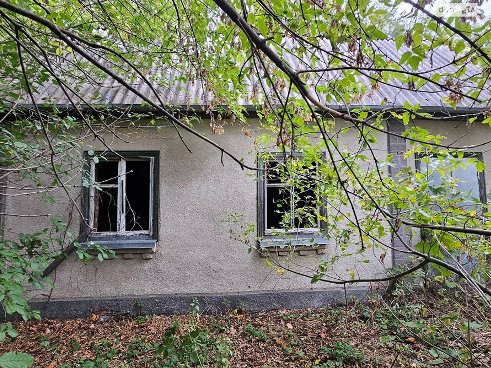 Земля сільськогосподарського призначення в Яготині, район Яготин, площа 20 соток фото 1