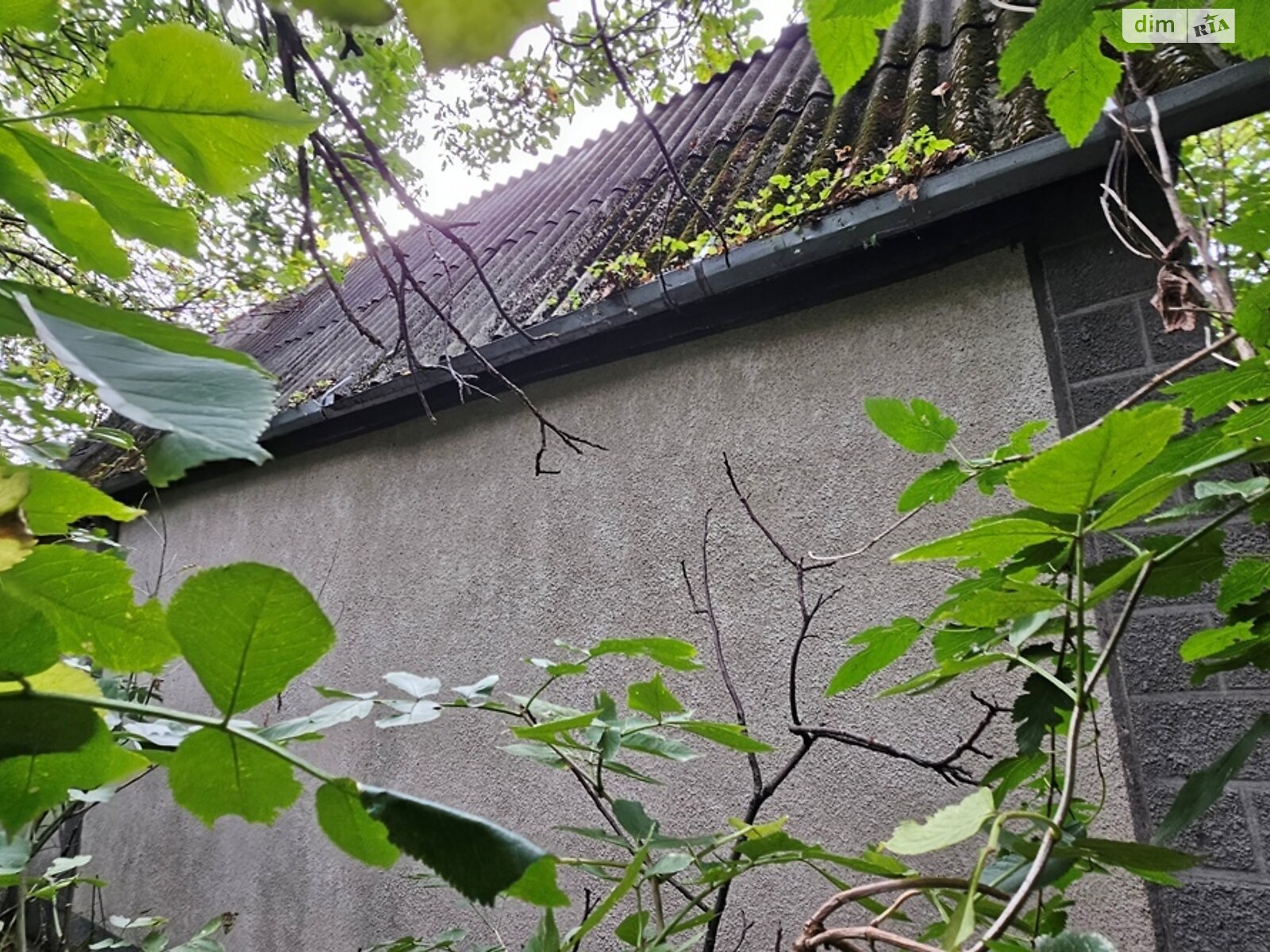 Земля сільськогосподарського призначення в Яготині, район Яготин, площа 20 соток фото 1