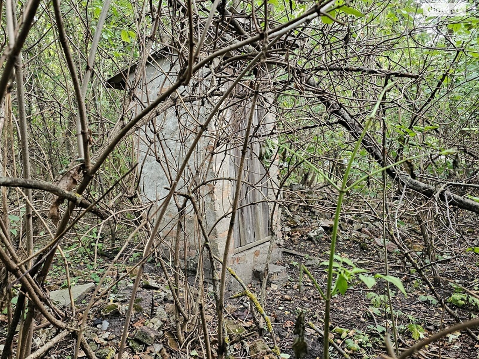 Земля сільськогосподарського призначення в Яготині, район Яготин, площа 20 соток фото 1