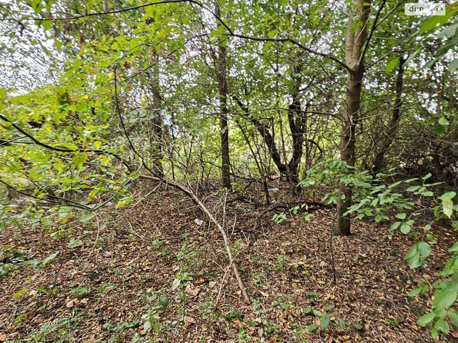 Земля сільськогосподарського призначення в Яготині, район Яготин, площа 20 соток фото 1