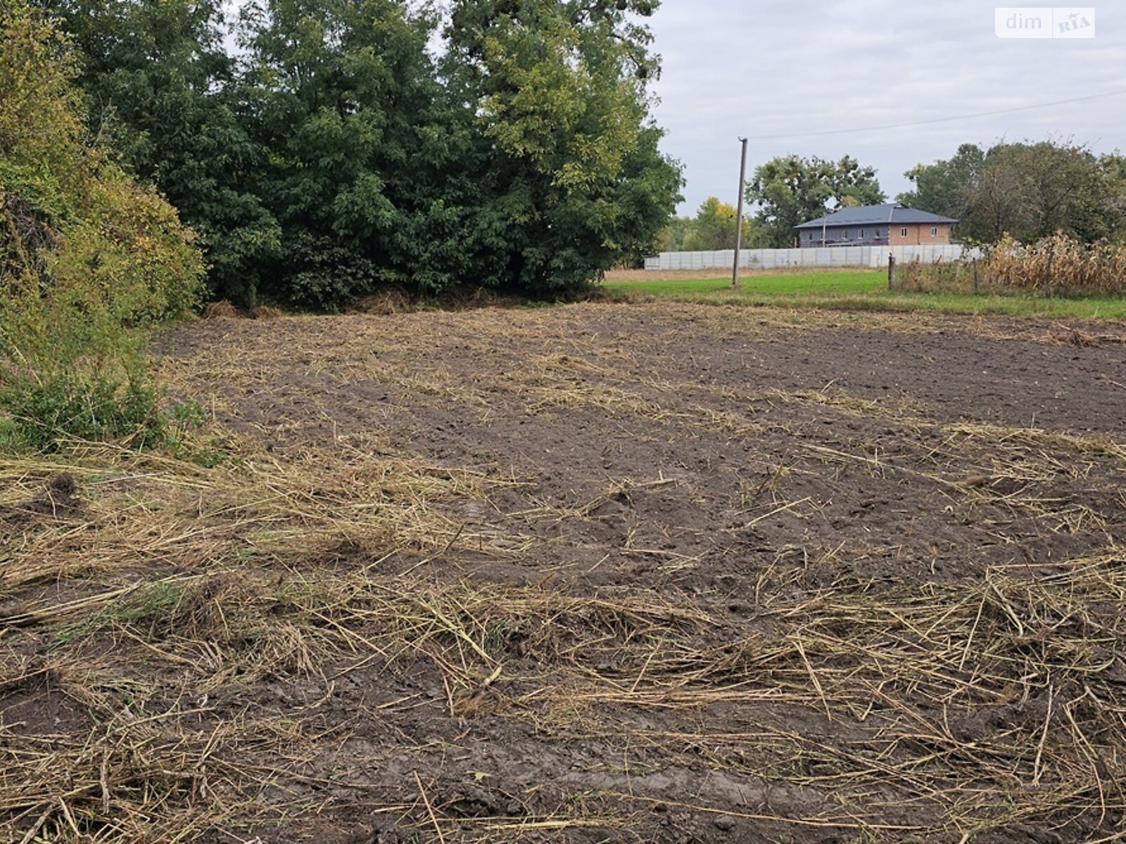 Земля сільськогосподарського призначення в Яготині, район Яготин, площа 20 соток фото 1