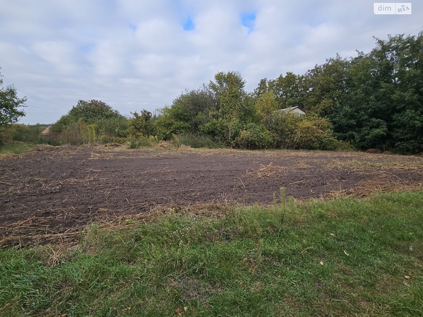 Земля сільськогосподарського призначення в Яготині, район Яготин, площа 20 соток фото 1