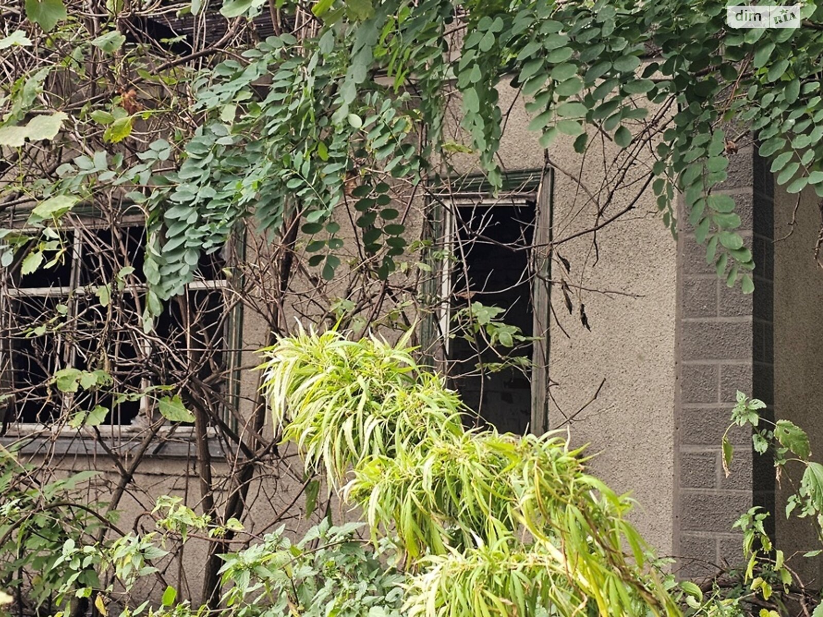 Земля сільськогосподарського призначення в Яготині, район Яготин, площа 20 соток фото 1