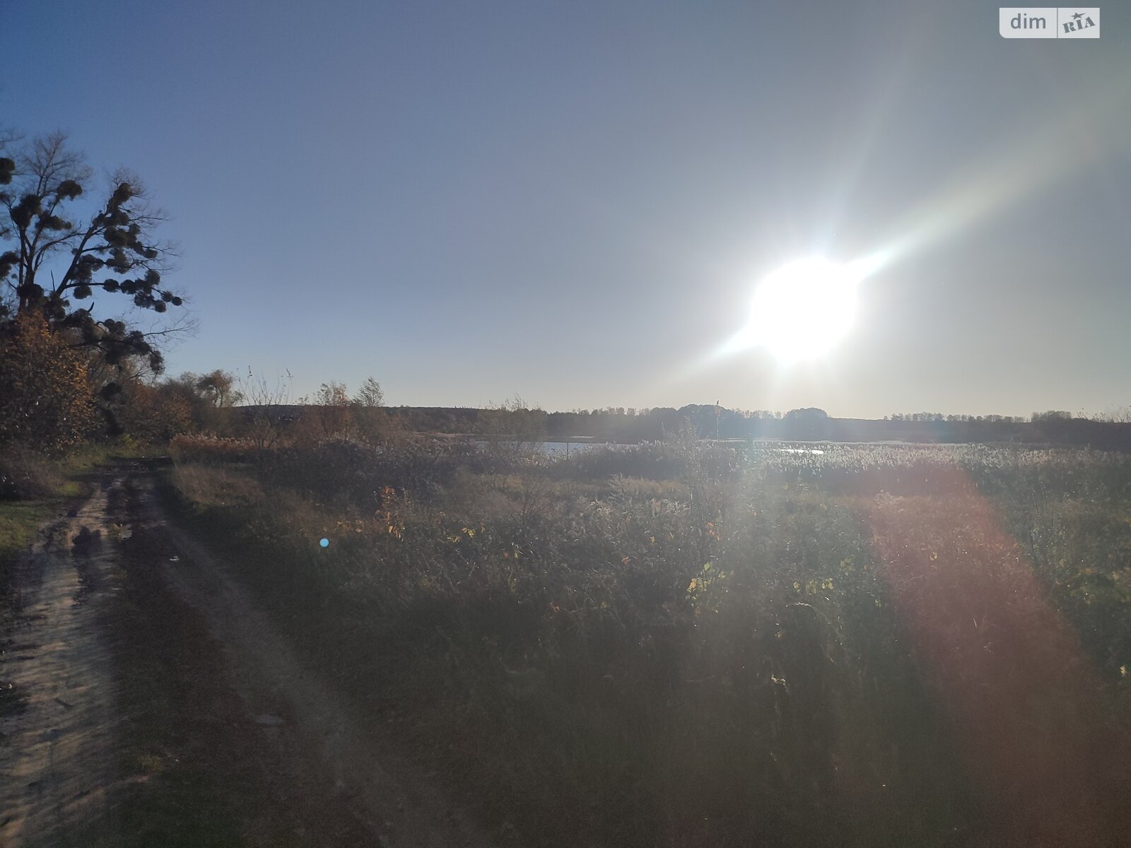 Земельный участок сельскохозяйственного назначения в Якушинцах, площадь 200 соток фото 1 Земельный участок сельскохозяйственного назначения в Якушинцах, площадь 200 соток фото 1