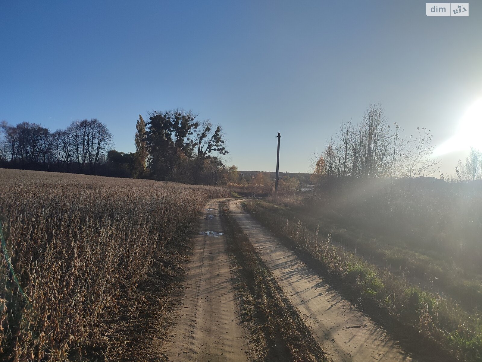 Земельный участок сельскохозяйственного назначения в Якушинцах, площадь 200 соток фото 1 Земельный участок сельскохозяйственного назначения в Якушинцах, площадь 200 соток фото 1