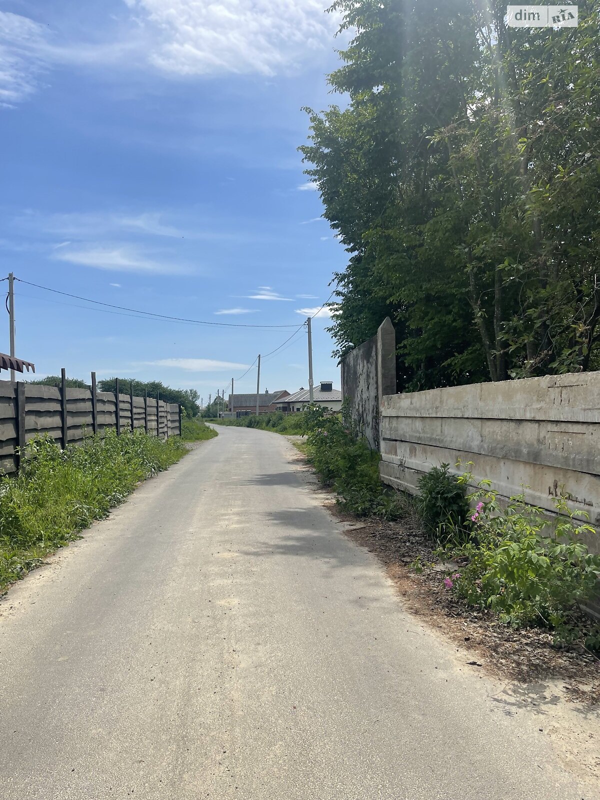 Земельна ділянка сільськогосподарського призначення в Якушинцях, площа 44 сотки фото 1 Земельна ділянка сільськогосподарського призначення в Якушинцях, площа 44 сотки фото 1