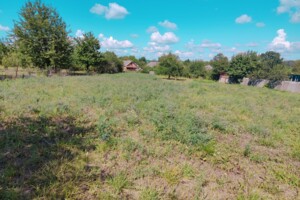Земельна ділянка сільськогосподарського призначення в Якушинцях, площа 25 соток фото 2