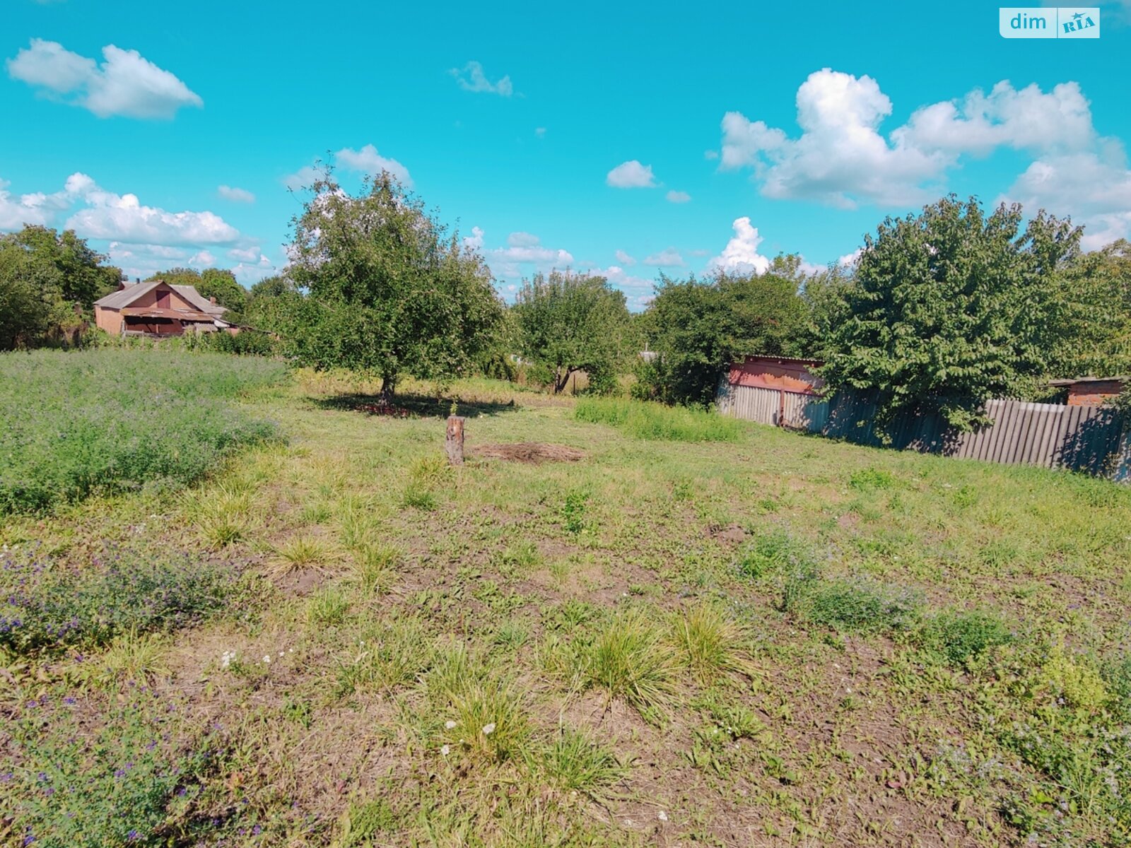 Земельна ділянка сільськогосподарського призначення в Якушинцях, площа 25 соток фото 1