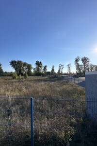 Земельный участок сельскохозяйственного назначения в Якушинцах, площадь 6 Га фото 2