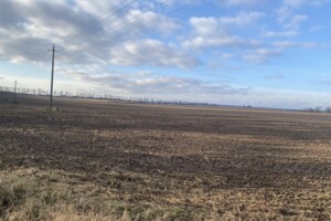 Земельный участок сельскохозяйственного назначения в Якушинцах, площадь 72 сотки фото 2