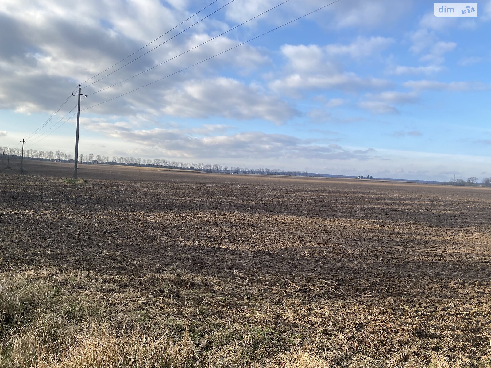 Земельный участок сельскохозяйственного назначения в Якушинцах, площадь 72 сотки фото 1