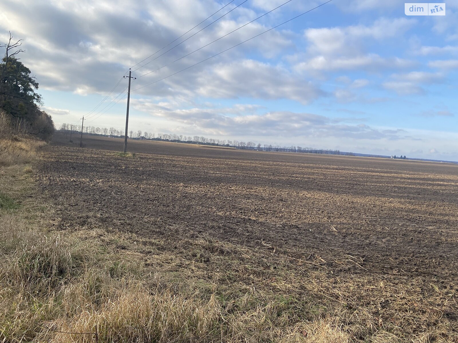 Земельный участок сельскохозяйственного назначения в Якушинцах, площадь 72 сотки фото 1