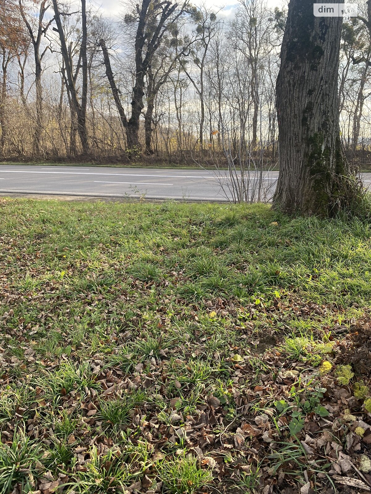 Земельный участок сельскохозяйственного назначения в Якушинцах, площадь 72 сотки фото 1