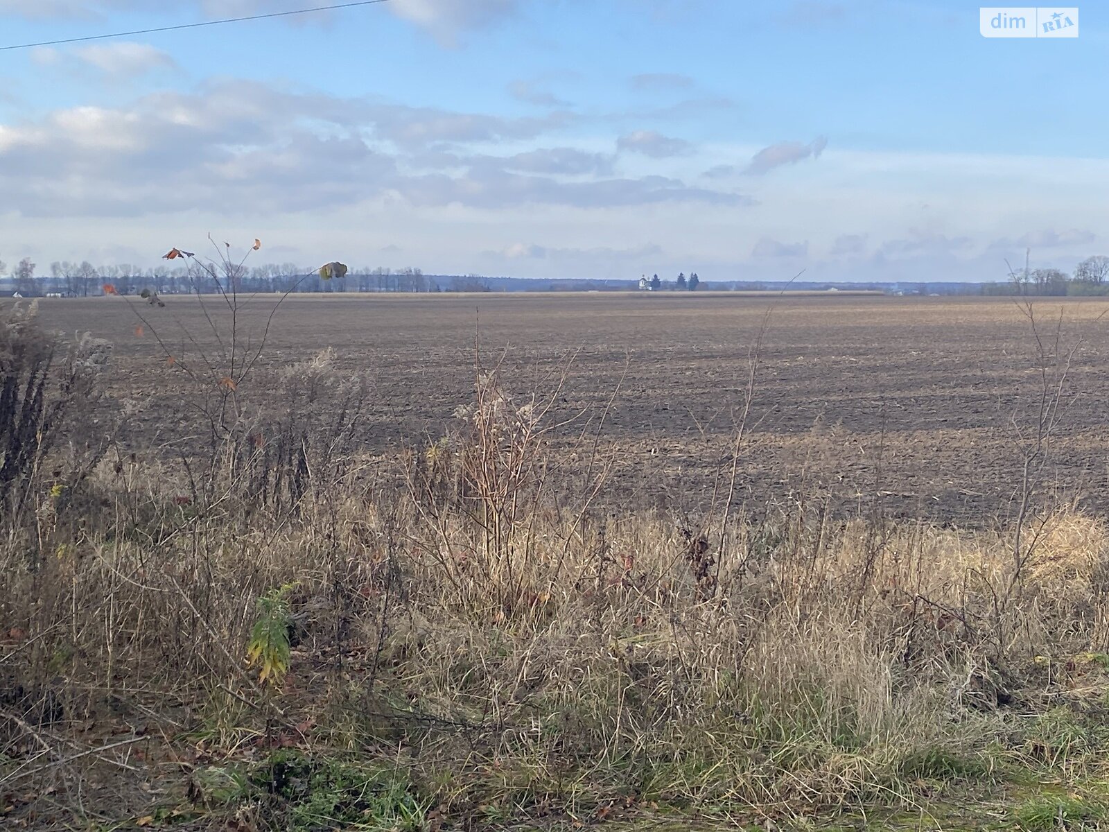 Земельный участок сельскохозяйственного назначения в Якушинцах, площадь 72 сотки фото 1