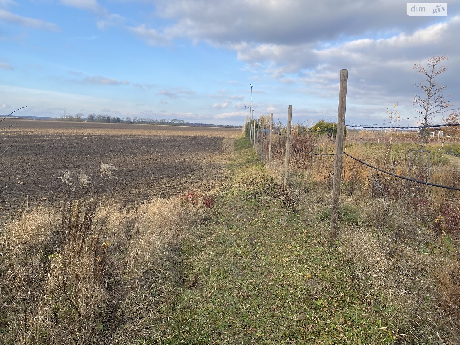 Земельный участок сельскохозяйственного назначения в Якушинцах, площадь 72 сотки фото 1