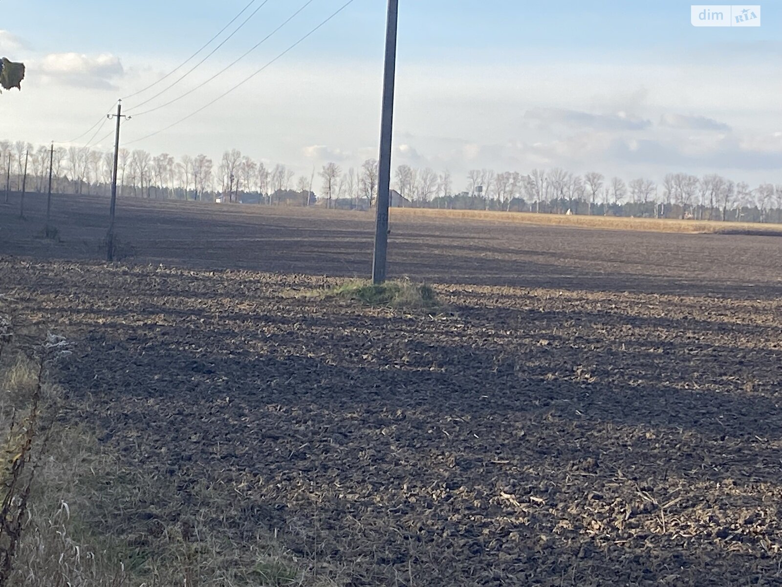 Земельный участок сельскохозяйственного назначения в Якушинцах, площадь 72 сотки фото 1