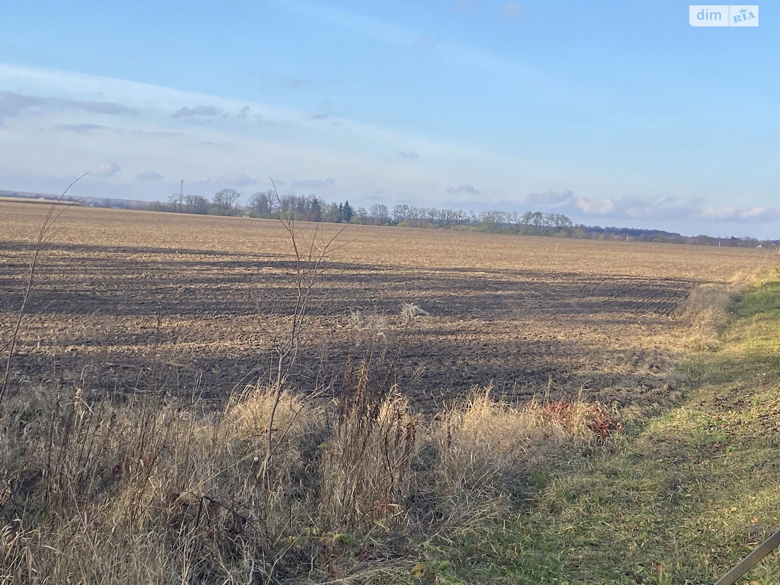 Земельный участок сельскохозяйственного назначения в Якушинцах, площадь 72 сотки фото 1