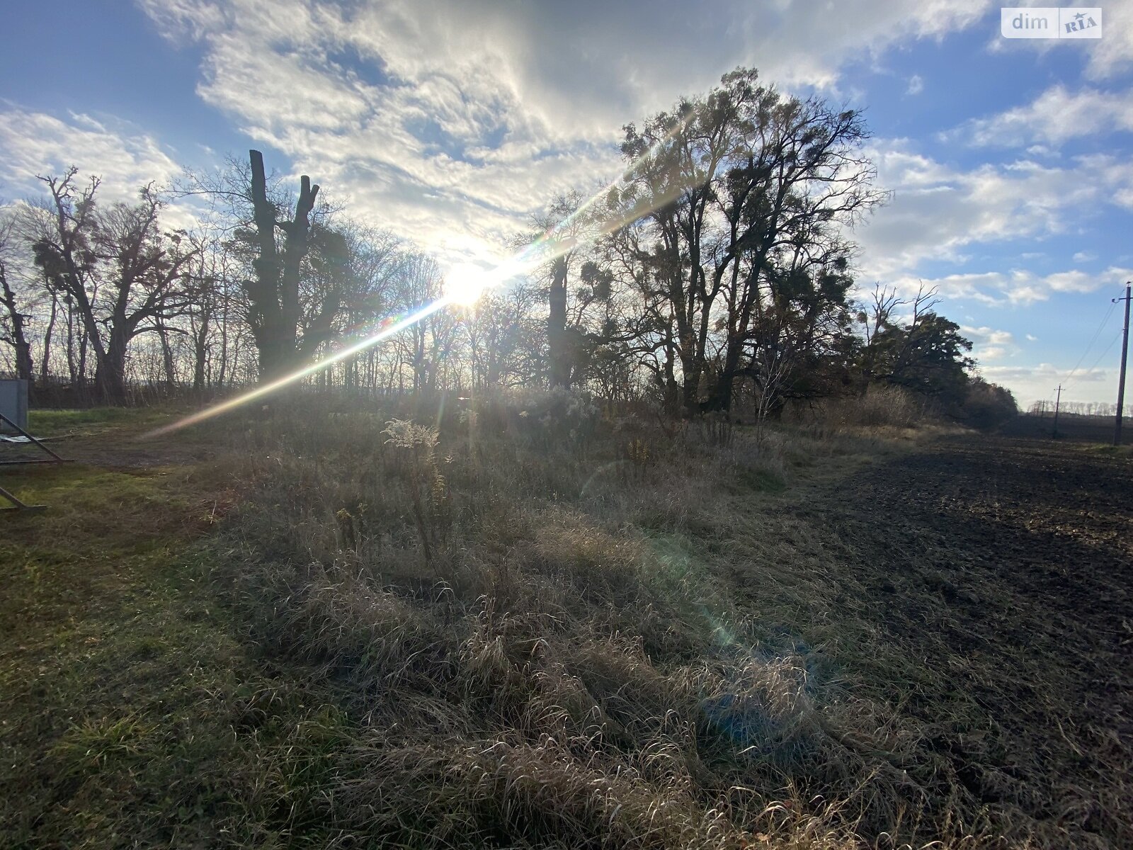 Земельный участок сельскохозяйственного назначения в Якушинцах, площадь 72 сотки фото 1