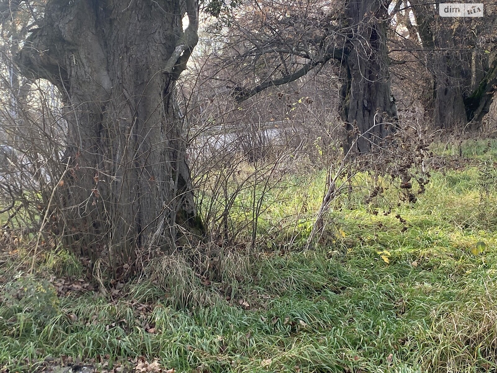 Земельный участок сельскохозяйственного назначения в Якушинцах, площадь 72 сотки фото 1