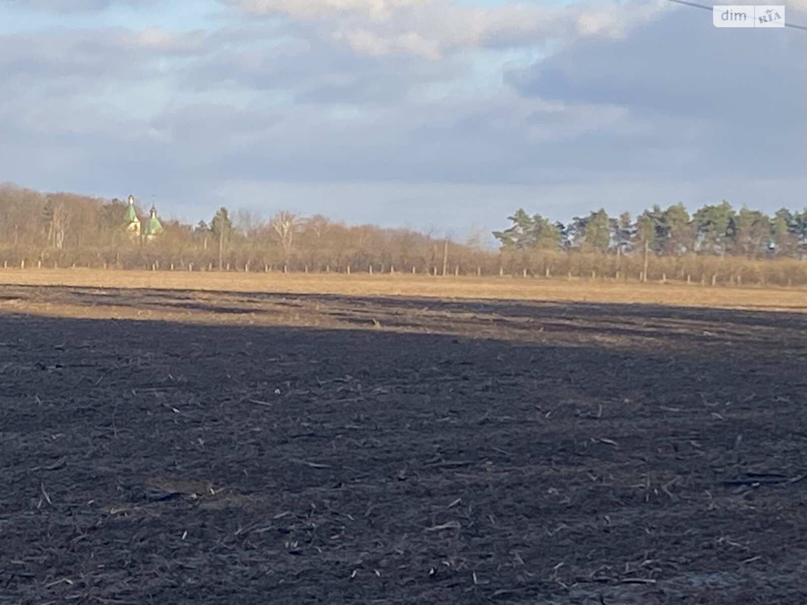 Земельный участок сельскохозяйственного назначения в Якушинцах, площадь 2 Га фото 1 Земельный участок сельскохозяйственного назначения в Якушинцах, площадь 2 Га фото 1