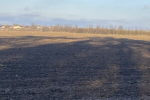 Земельный участок сельскохозяйственного назначения в Якушинцах, площадь 2 Га фото 2 Земельный участок сельскохозяйственного назначения в Якушинцах, площадь 2 Га фото 2