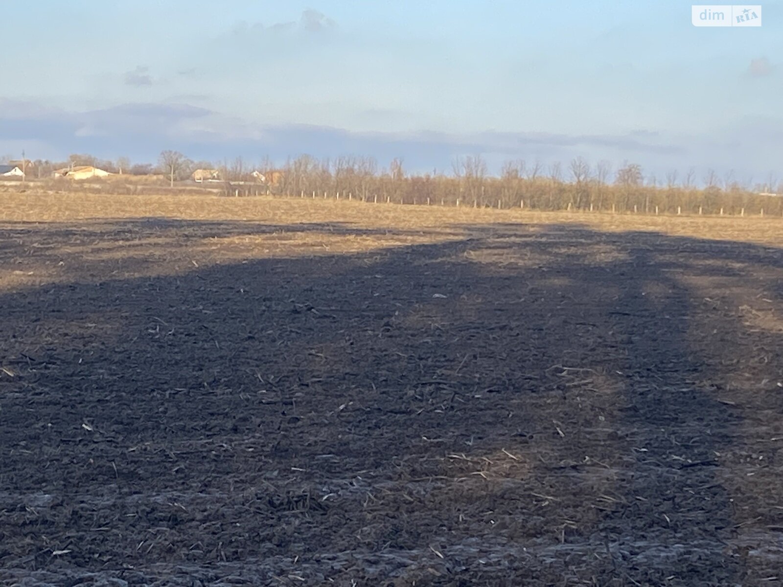 Земельный участок сельскохозяйственного назначения в Якушинцах, площадь 2 Га фото 1 Земельный участок сельскохозяйственного назначения в Якушинцах, площадь 2 Га фото 1