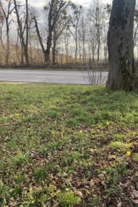 Земельный участок сельскохозяйственного назначения в Якушинцах, площадь 30 соток фото 2