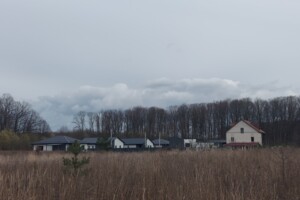 Земельна ділянка сільськогосподарського призначення в Якушинцях, площа 20 соток фото 2