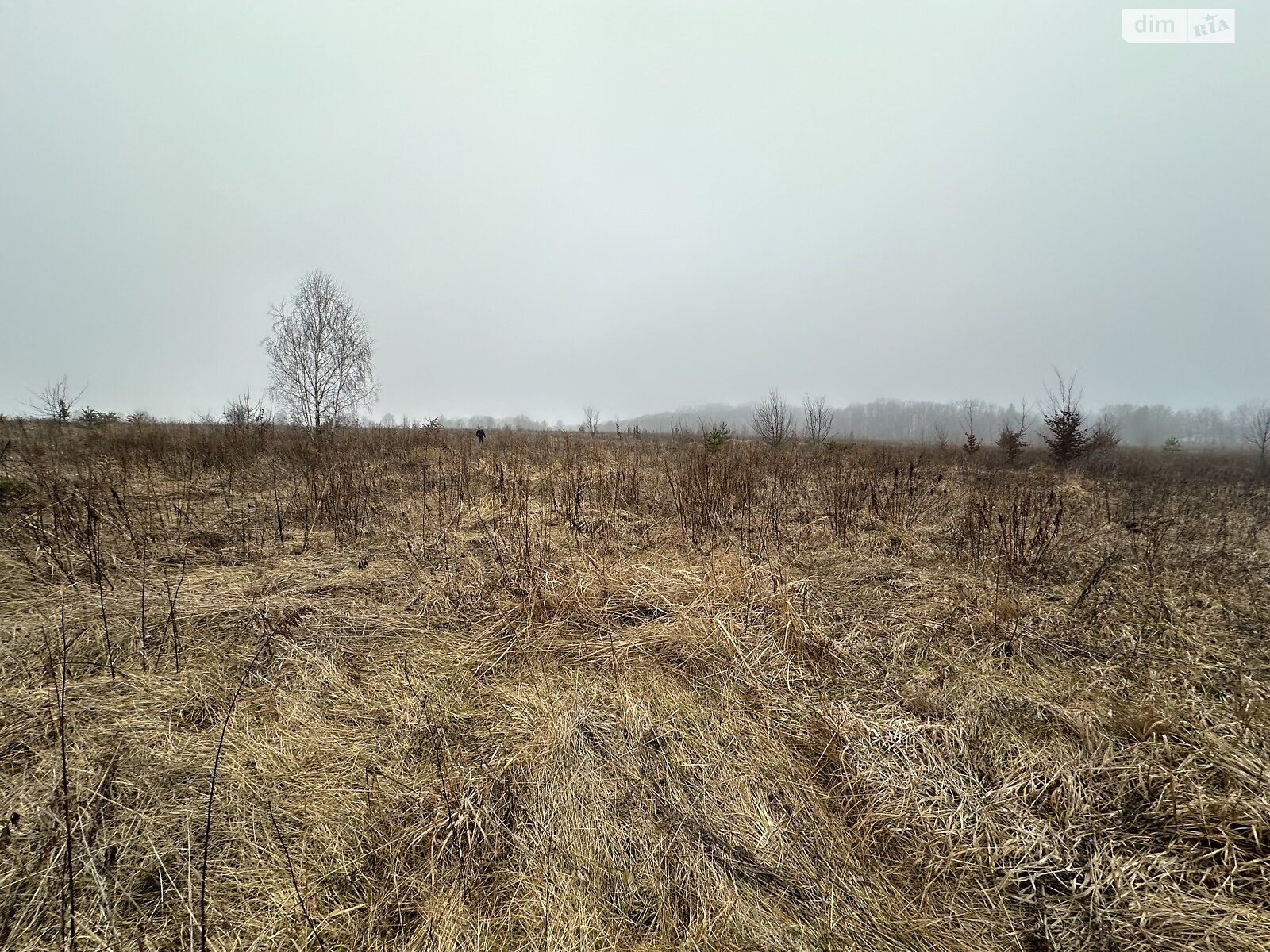 Земельна ділянка сільськогосподарського призначення в Якушинцях, площа 10 соток фото 1 Земельна ділянка сільськогосподарського призначення в Якушинцях, площа 10 соток фото 1