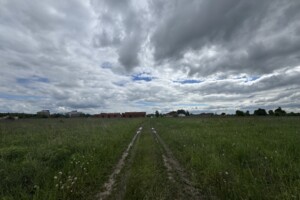 Земельна ділянка сільськогосподарського призначення в Якушинцях, площа 20 соток фото 2