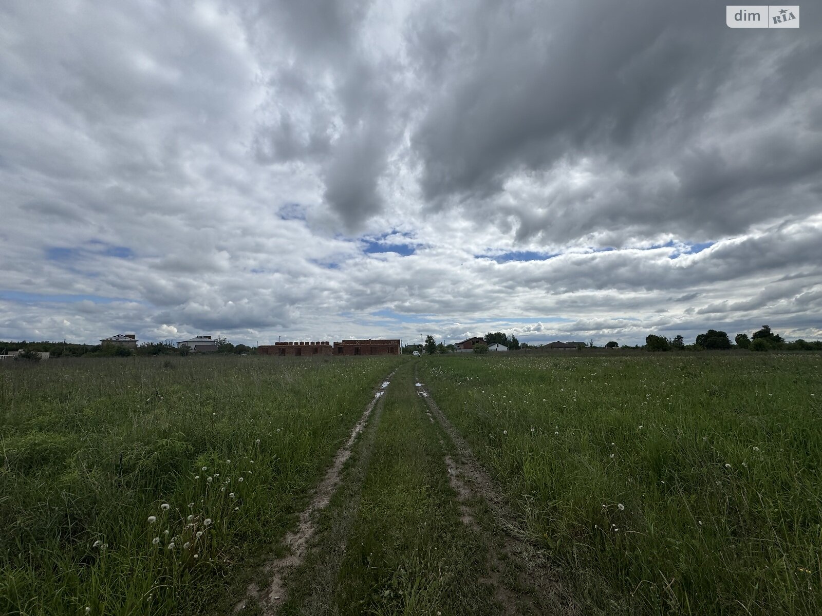 Земельна ділянка сільськогосподарського призначення в Якушинцях, площа 20 соток фото 1 Земельна ділянка сільськогосподарського призначення в Якушинцях, площа 20 соток фото 1